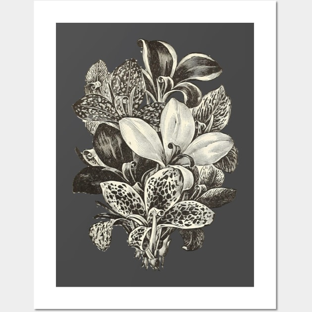 Beautiful Lily Wall Art by DrDesign